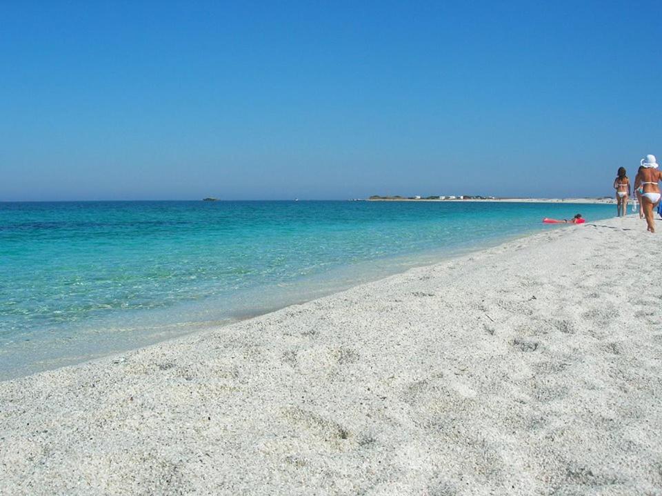 Bed and Breakfast Sardinia Eco Vegan House Zeddiani Exterior foto