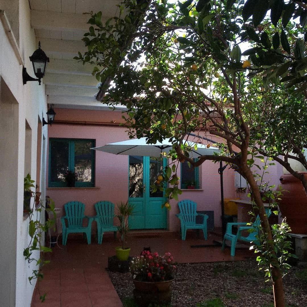 Bed and Breakfast Sardinia Eco Vegan House Zeddiani Exterior foto