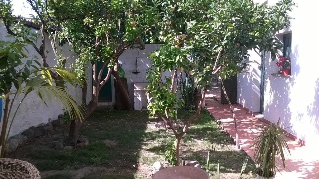 Bed and Breakfast Sardinia Eco Vegan House Zeddiani Exterior foto